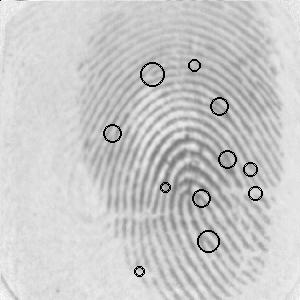 fingerprint minutiae and their scores